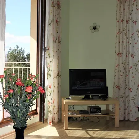 Motyl Władysławowo