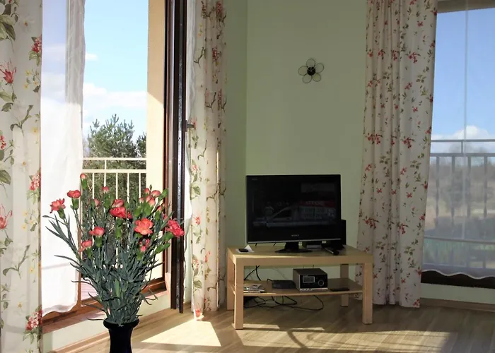 Motyl Władysławowo